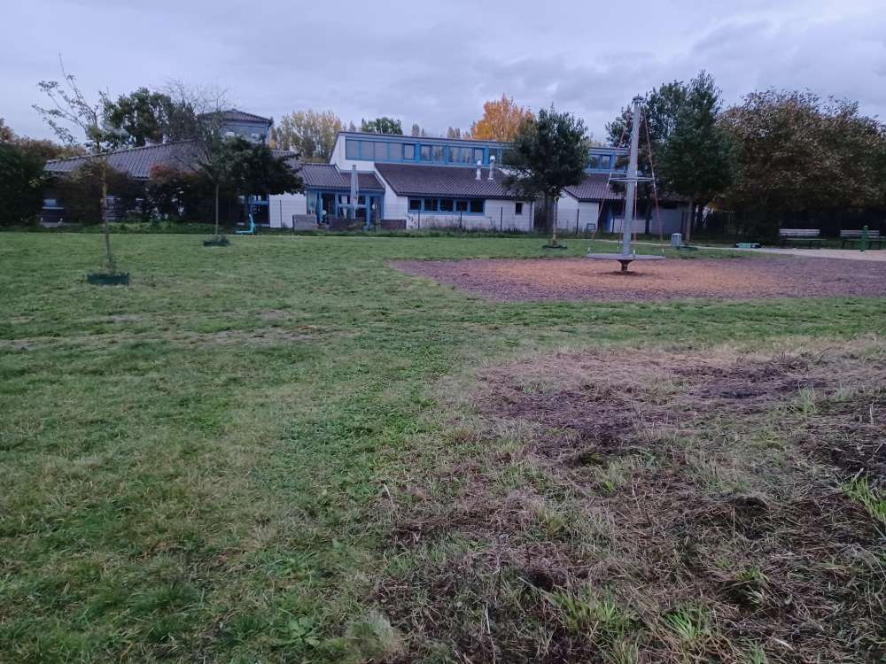 Giftköder-Toter Igel, evtl. durch Mäharbeiten.-Profilbild