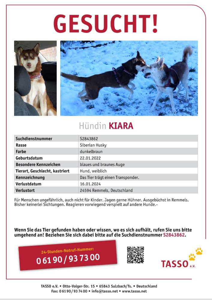 Suchmeldung-Kiara-Profilbild