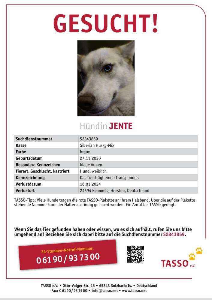 Suchmeldung-Jente-Profilbild