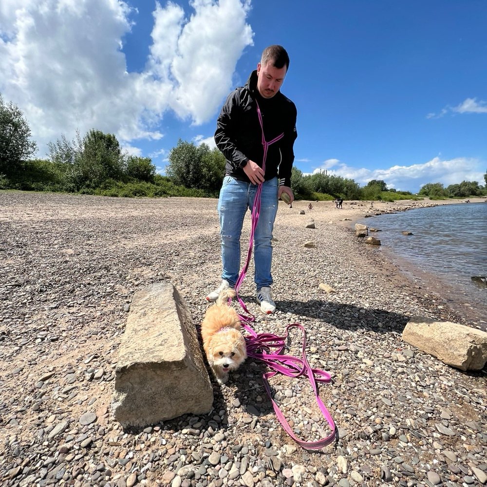 Hundetreffen-Training-Walk-Session-Profilbild