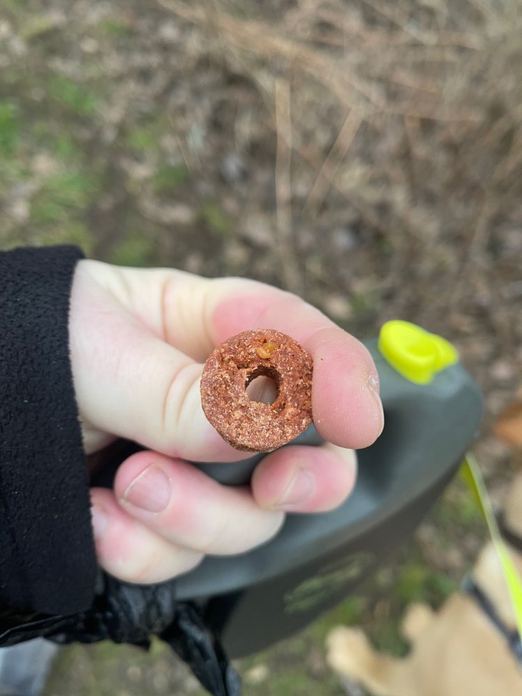 Giftköder-Frolic ausgelegt-Profilbild