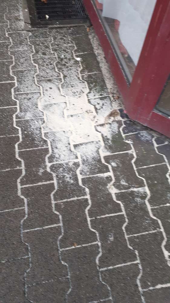 Giftköder-Weisses Pulver auch hier aufgetaucht.-Profilbild