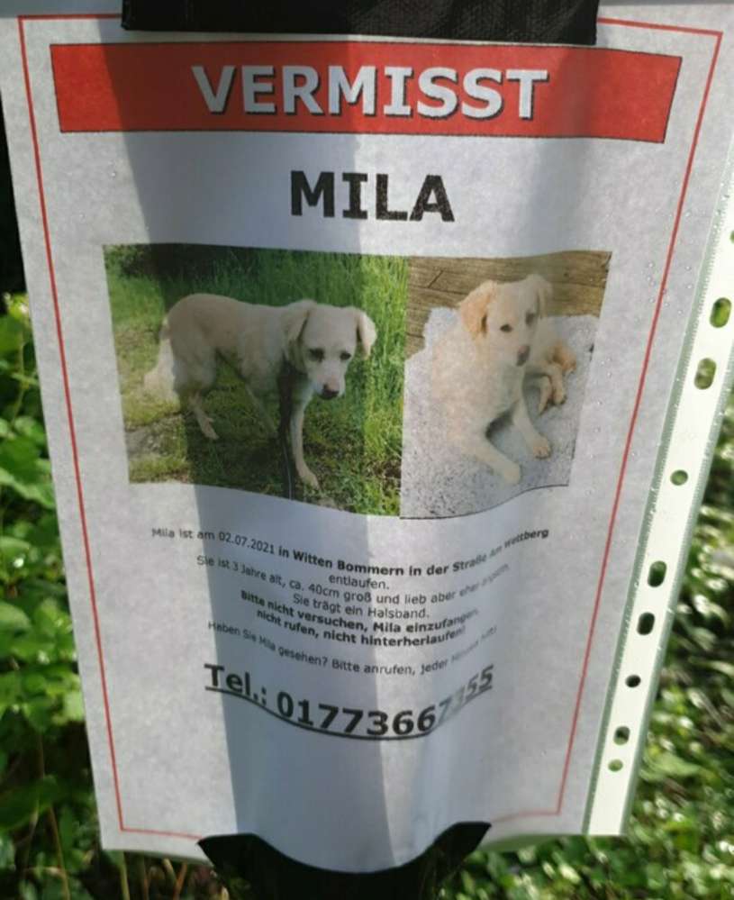 Suchmeldung-Mila-Profilbild