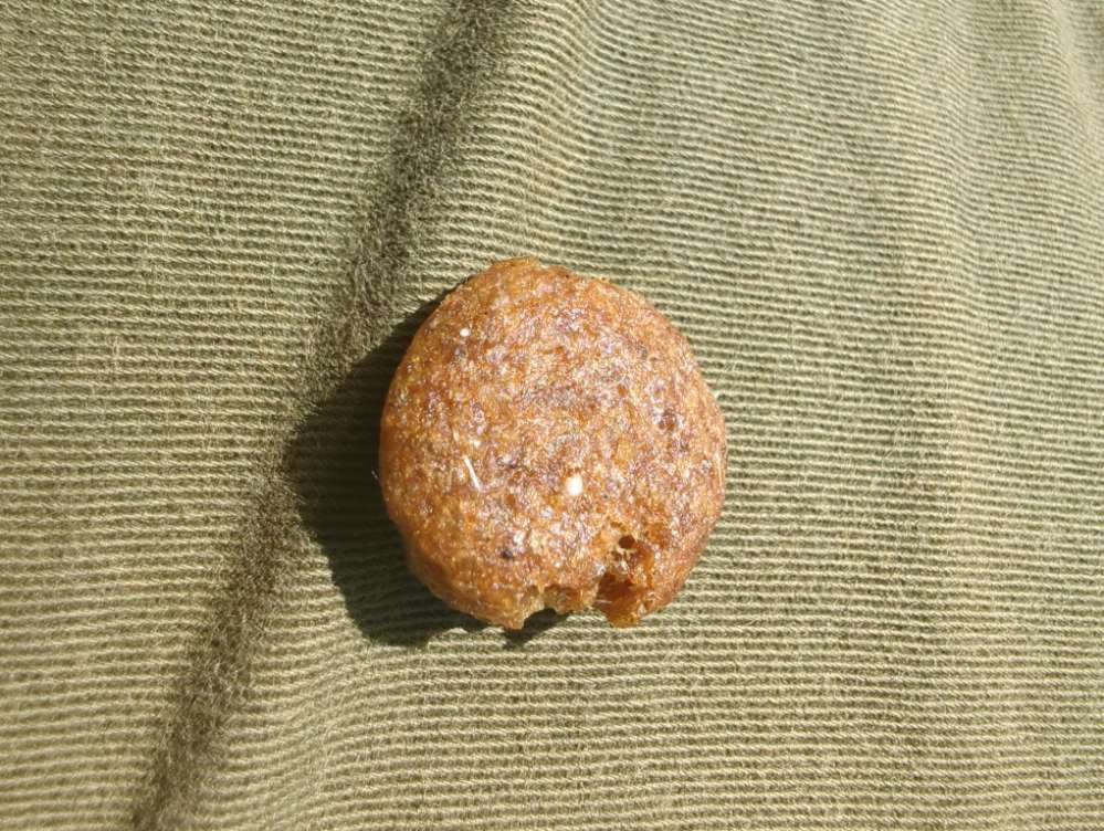 Giftköder-Trockenfutter oder andere Substanz-Profilbild