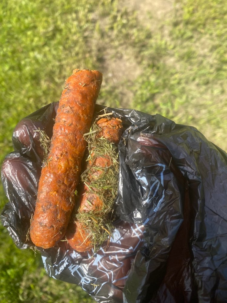 Giftköder-Giftköder/ Wurst ausgelegt-Profilbild