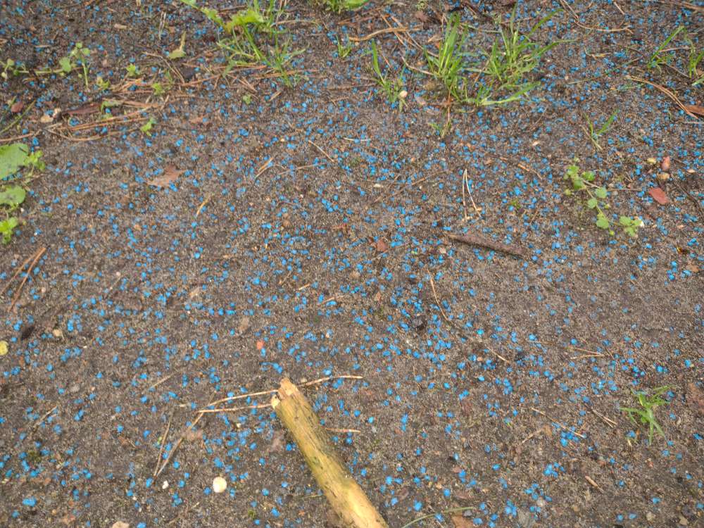 Giftköder-Rattengift oder Blaukorn-Profilbild