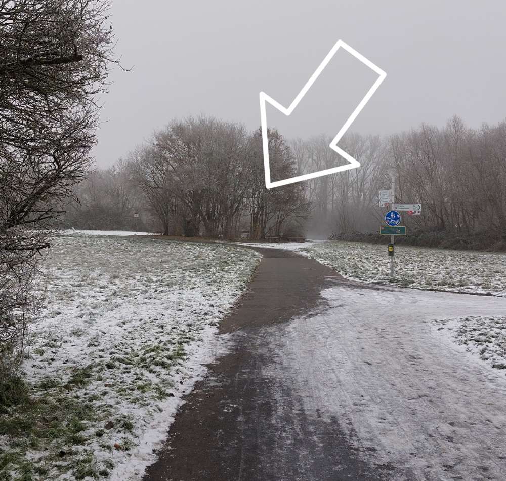 Giftköder-Cannabis an der Rodaumündung Mühlheim-Profilbild