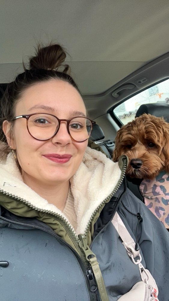 Hundetreffen-Suche neue Hundefreunde für Gassirunden-Profilbild