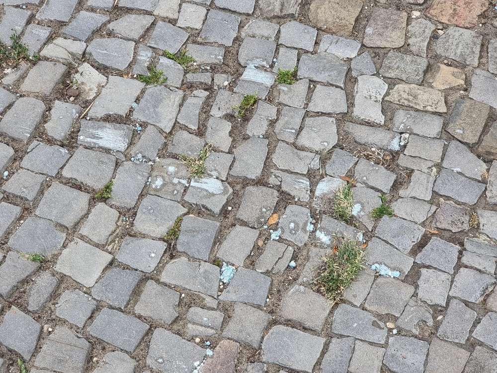 Giftköder-ACHTUNg BLAUKORN-Profilbild