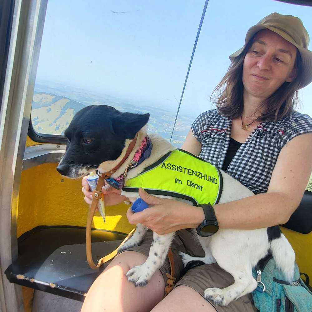 Hundetreffen-Wir suchen wanderbegleiter-Profilbild