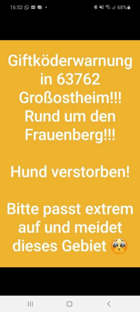 Giftköder-Giftköder-Profilbild