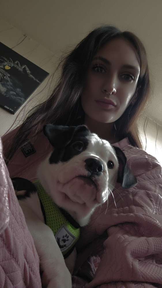 Hundetreffen-Babou sucht Spiel Freunde ✨️-Profilbild