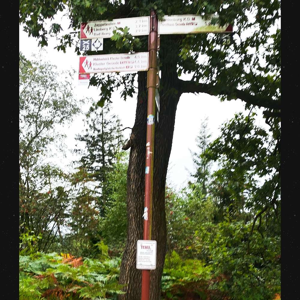 Hundetreffen-Spontanes zwanglosen Treffen zum Waldspaziergang-Profilbild