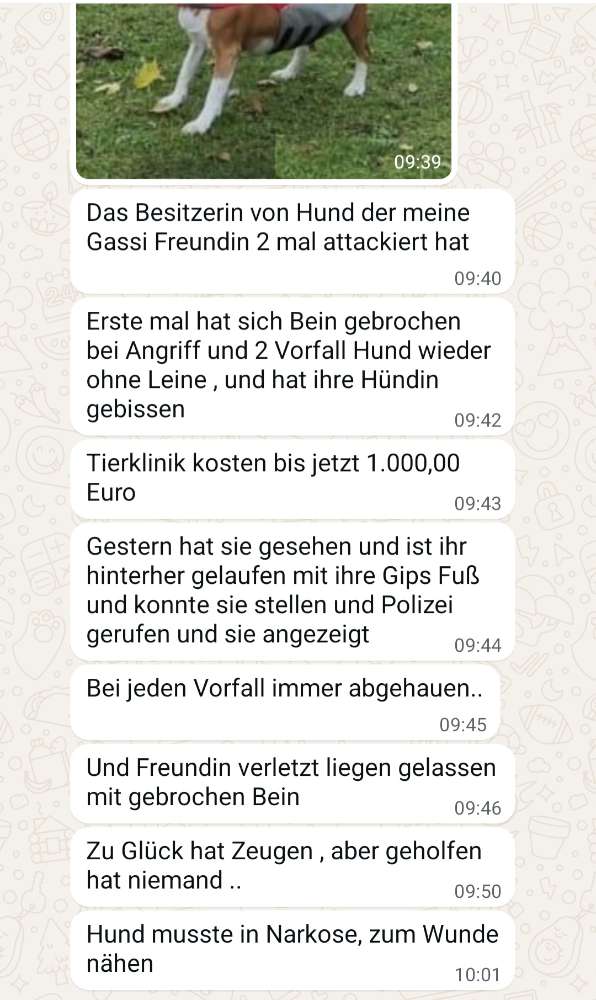 Giftköder-Vorsichtig bissiger Hund unterwegs-Profilbild