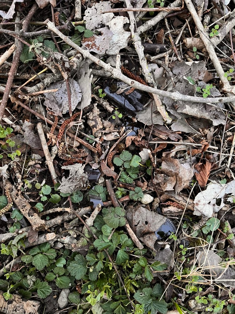 Giftköder-Glasscherben am Wegrand und im Busch-Profilbild