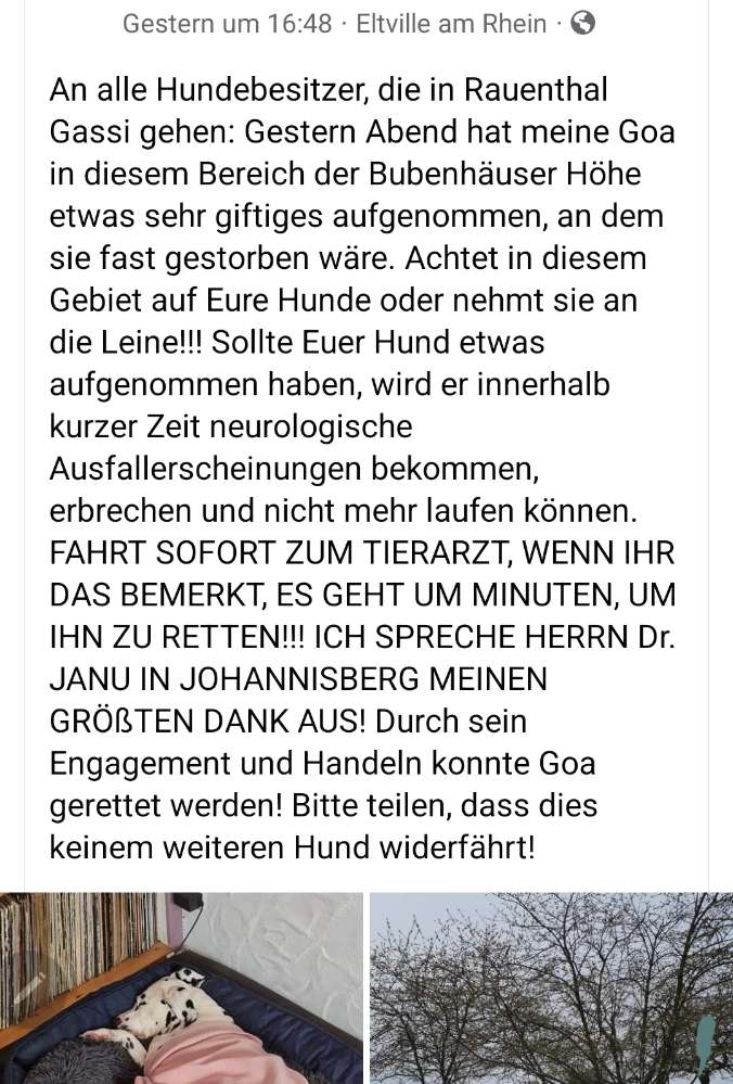 Giftköder-Gift Bubenhäuser Höhe Eltville Rauenthal-Profilbild