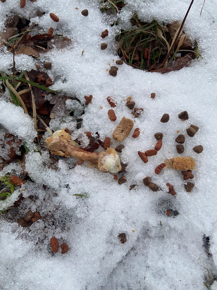 Giftköder-Knochen mit Trockenfutter-Profilbild