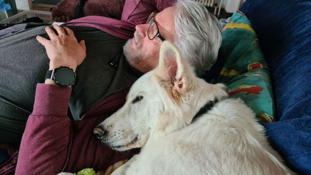 Hund und Herrchen Banner