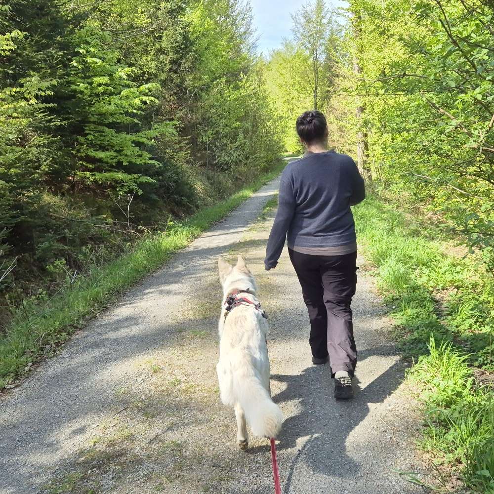 Hund und Frauchen Banner