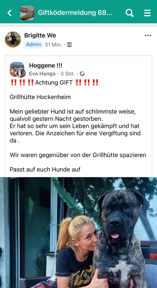 Giftköder-GIFTKÖDER an Grillhütte-Profilbild