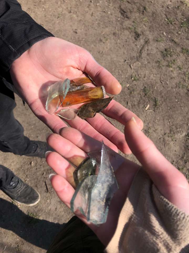 Giftköder-Verteilte Scherben, Verstreutes Brot-Profilbild