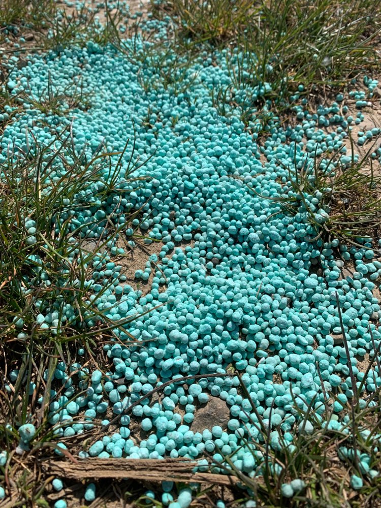 Giftköder-Schneckengift-Profilbild