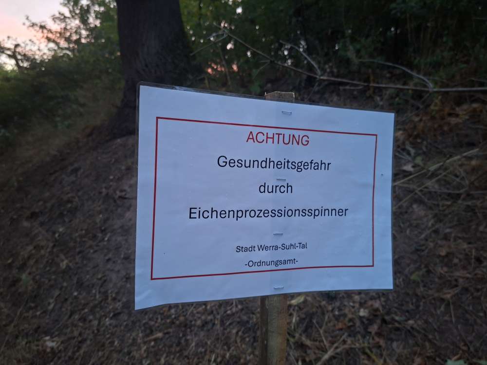 Giftköder-Eichenprozessionsspinner-Profilbild