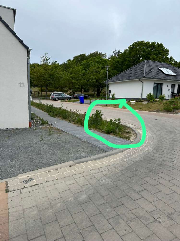 Giftköder-Ausgelegtes Futter-Profilbild