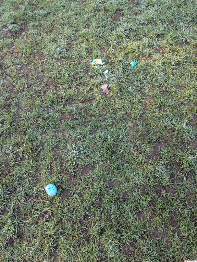 Giftköder-Verteilte ostereier...mutmaßlich-Profilbild