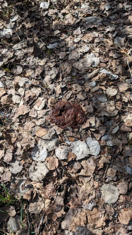 Giftköder-Menschenkot-Profilbild