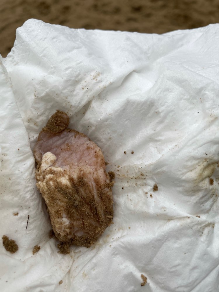 Giftköder-Ausgelegtes rohes Fleischstück-Profilbild