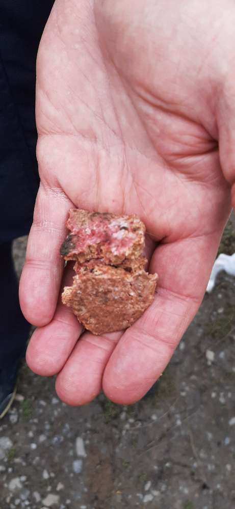 Giftköder-Eventuell Giftköder-Profilbild