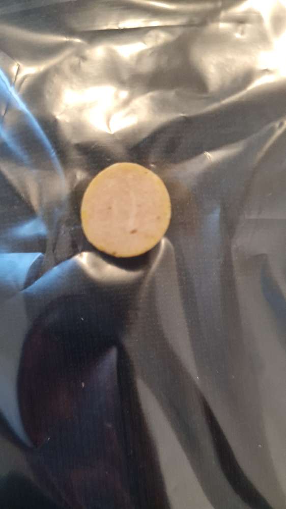 Giftköder-Evt Giftköder-Profilbild