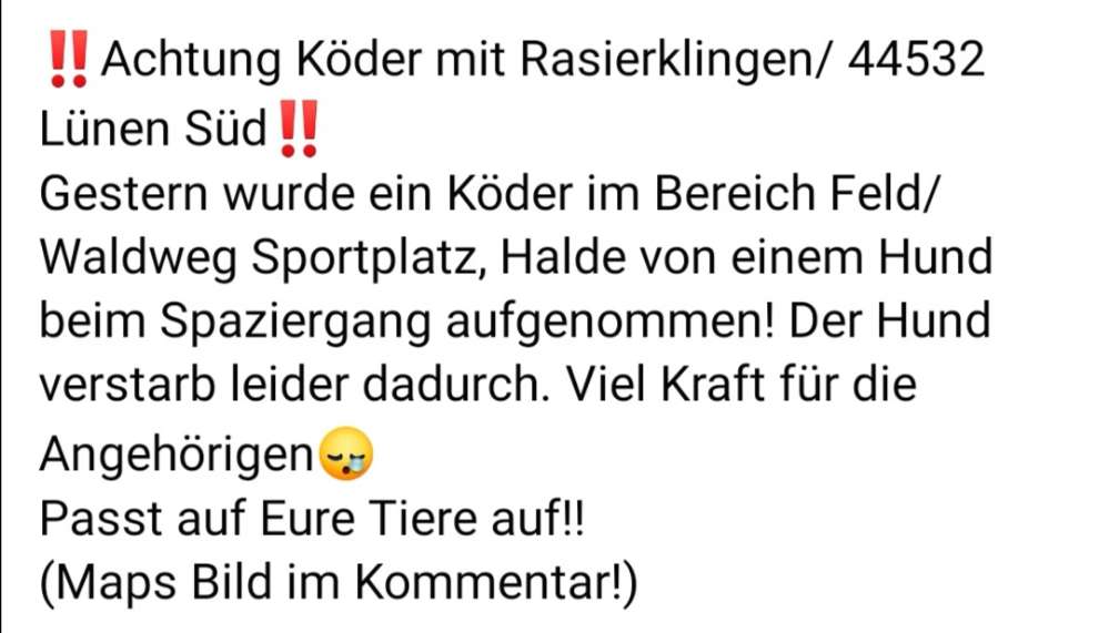 Giftköder-Köder mit Rasierklinge-Profilbild