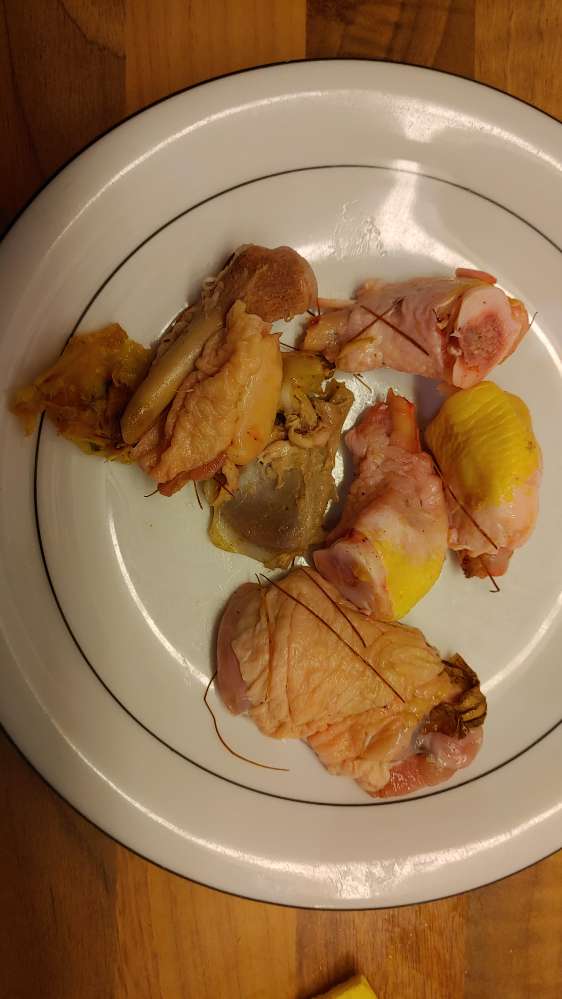 Giftköder-Giftköder-Profilbild