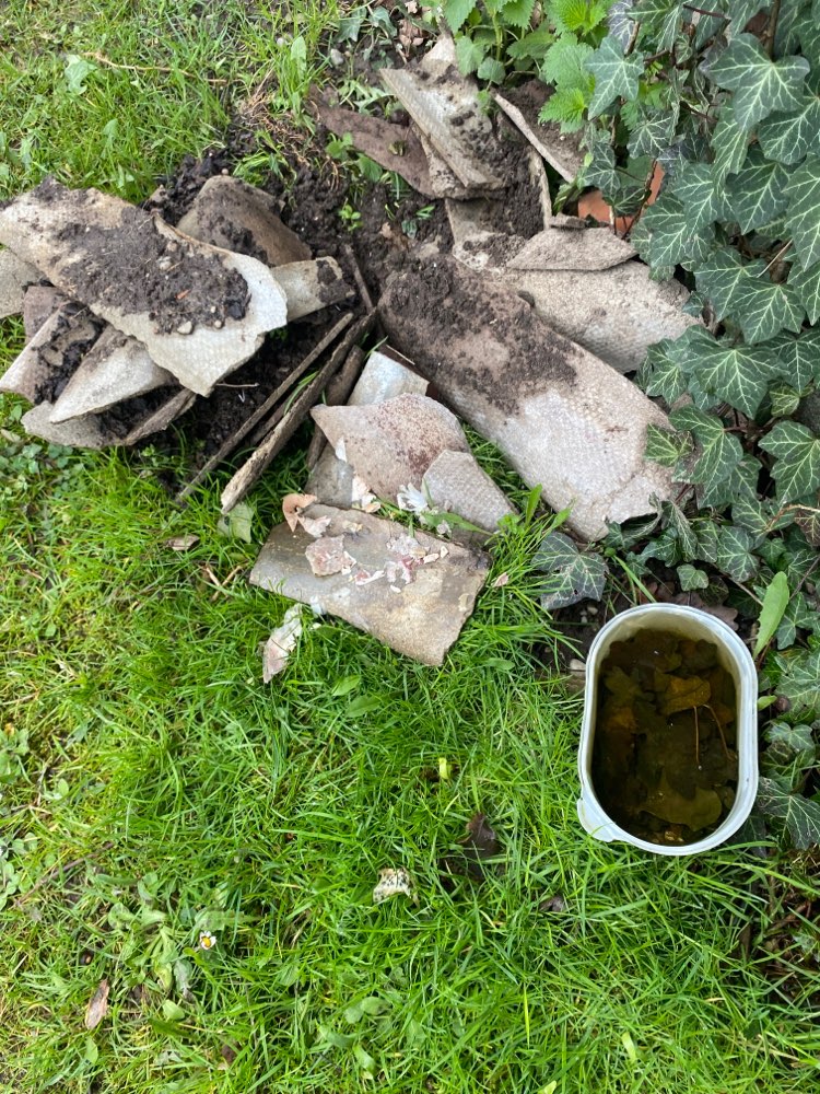 Giftköder-Wurst & Fleischreste ausgelegt-Profilbild