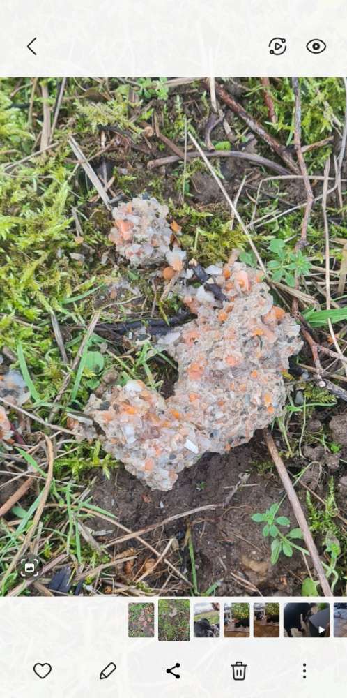 Giftköder-Unbestimmte Essensreste-Profilbild