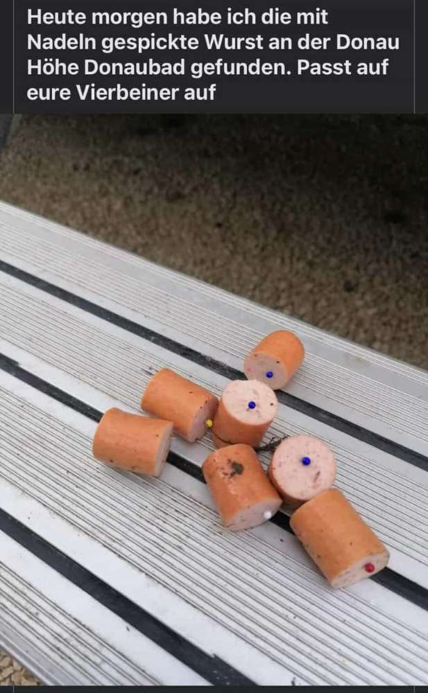 Giftköder-Wurst mit Nadeln-Profilbild