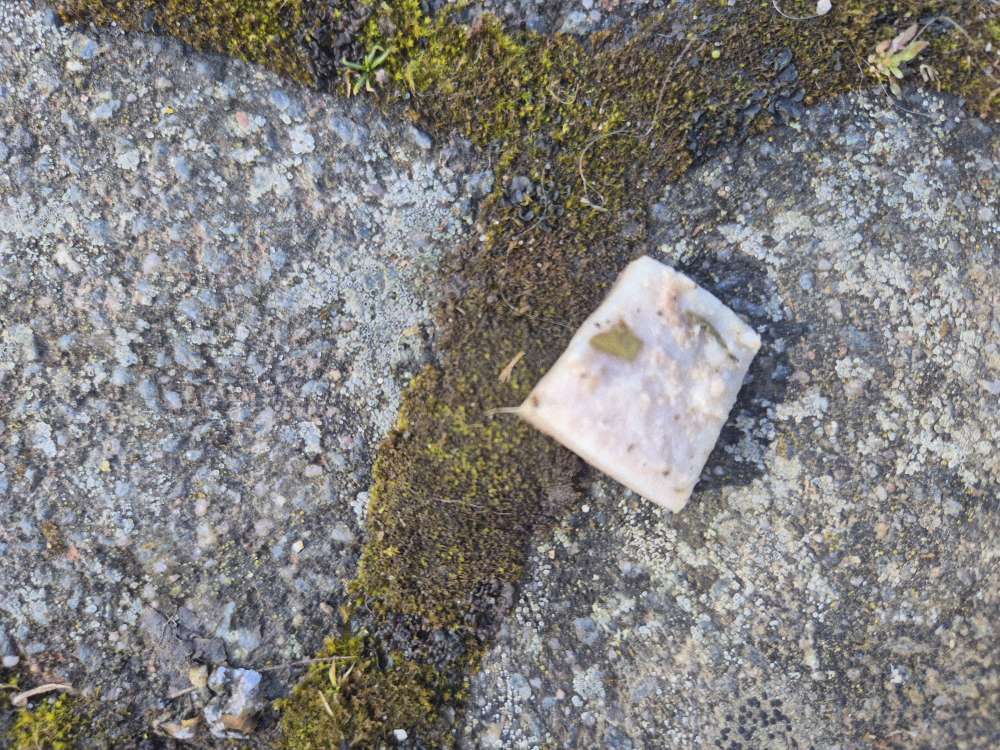 Giftköder-Präparierte Köder mit Nägeln-Profilbild