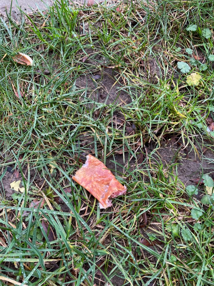 Giftköder-Seltsame Wurststücke-Profilbild