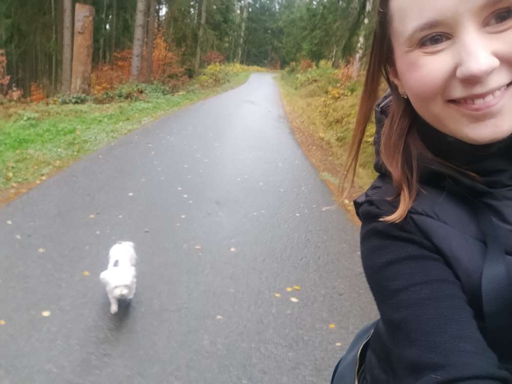 Hundetreffen-Gemeinsamer Spaziergang-Profilbild