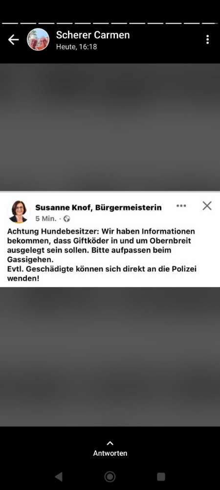 Giftköder-Giftköder-Profilbild