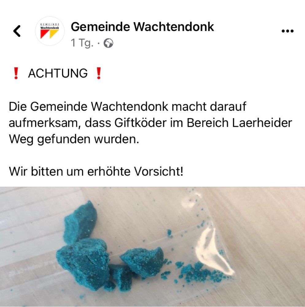 Giftköder-Giftköder-Profilbild