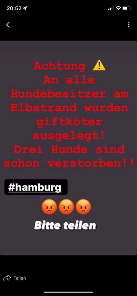 Giftköder-Giftköder am Elbstrand-Profilbild