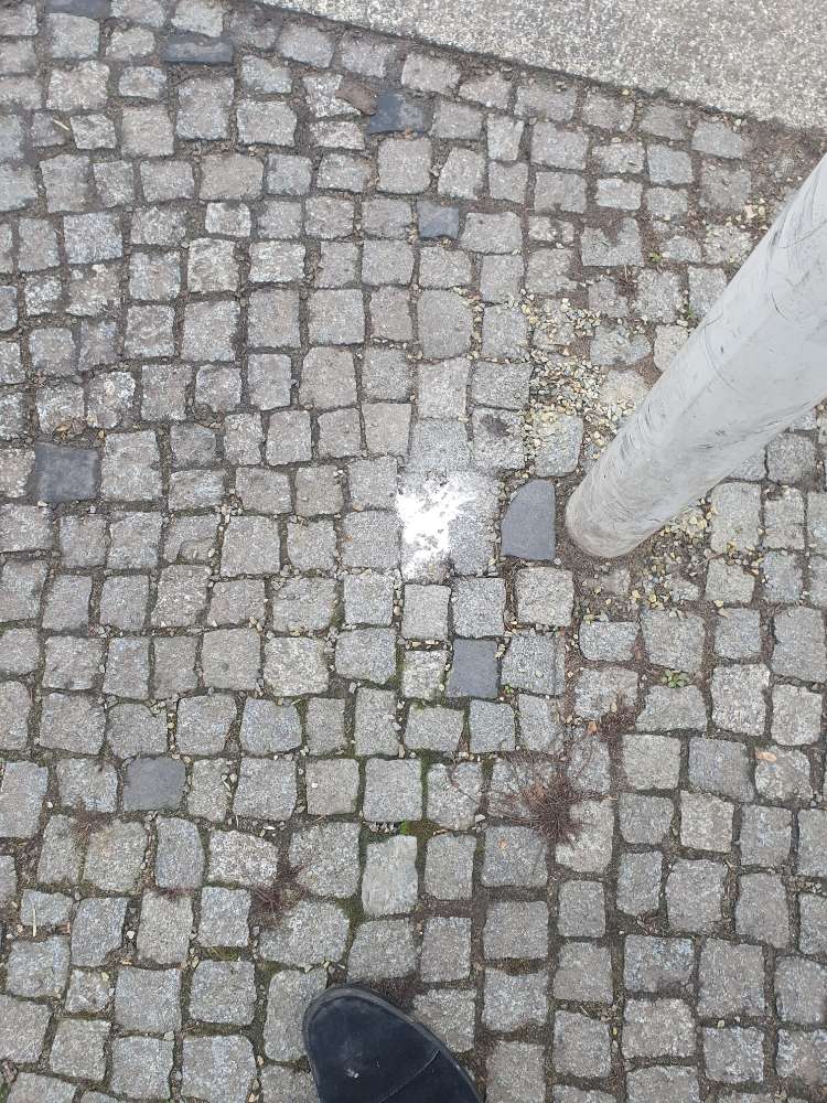 Giftköder-Weißes ausgelegtes Pulver-Profilbild