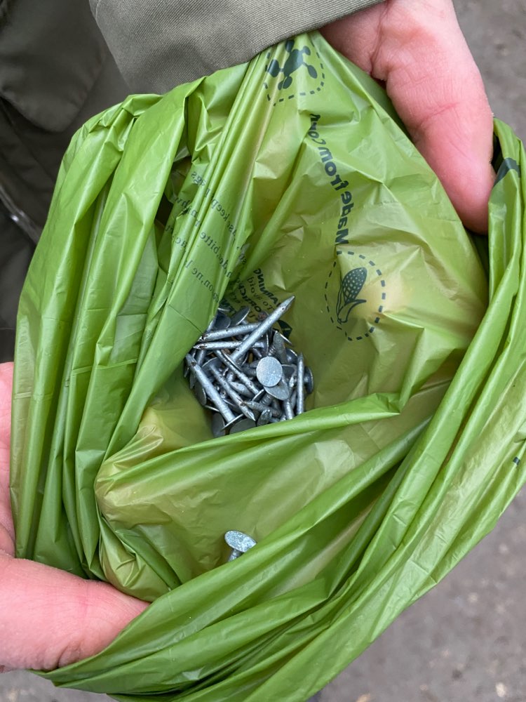 Giftköder-Nägel am Sölderholz.-Profilbild