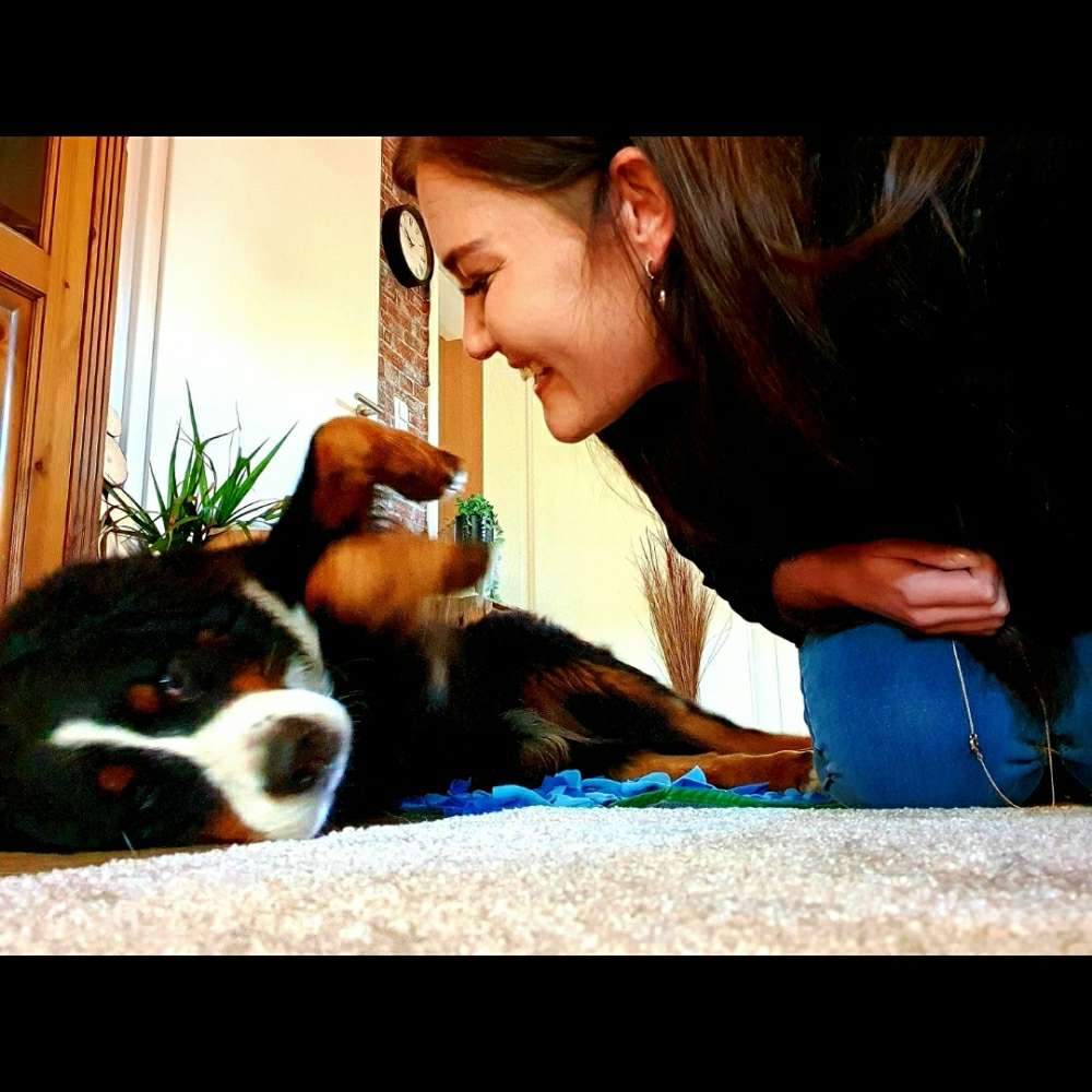 Hundetreffen-Bernersenn Treffen & Grillen😊-Profilbild