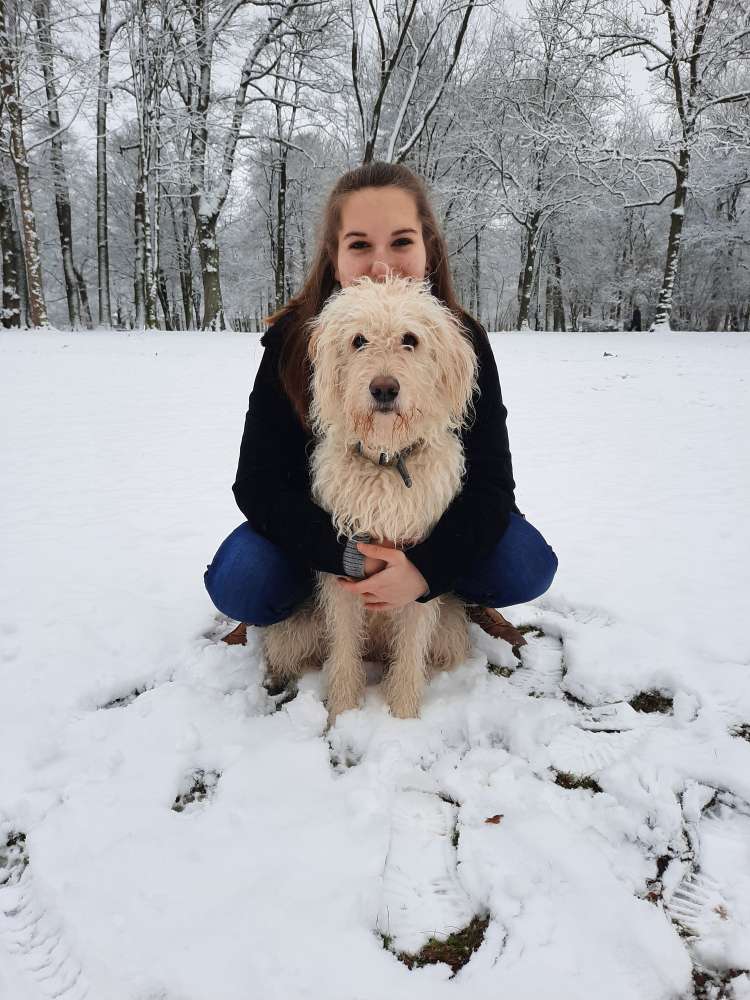 Hundetreffen-Gemeinsame Spaziergänge-Profilbild