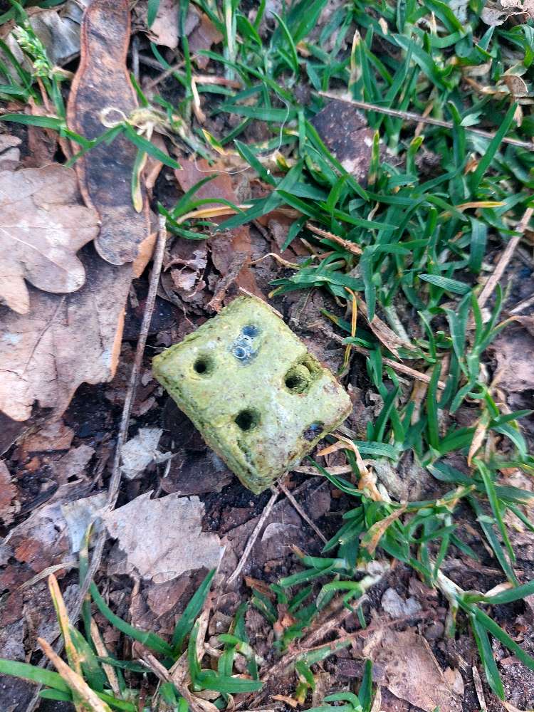 Giftköder-Vermutlich Rattengiftköder-Profilbild