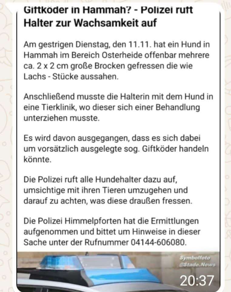 Giftköder-Giftköder-Profilbild